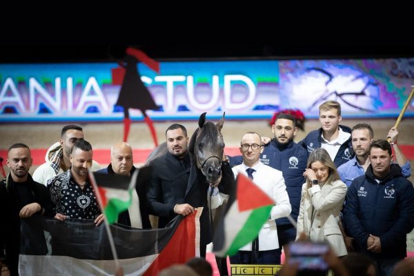 مهرة “محمد الشيخ سليمان” تتوج ببطولة العالم لجمال الخيول في باريس
